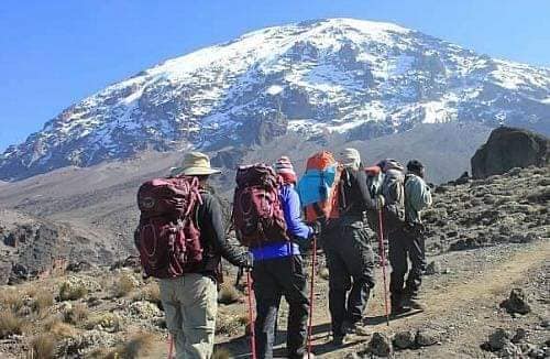 Kilimanjaro rainforest trail